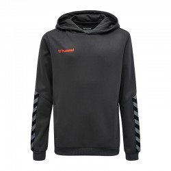 hmlAUTHENTIC POLY HOODIE...