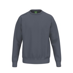 TS Sweatshirt slate grey